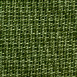 Assuan olive green