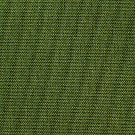 Assuan olive green