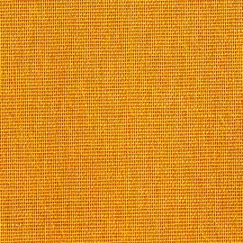 Tasmania gold orange