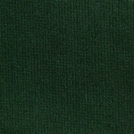 Canvas Extra R dark green