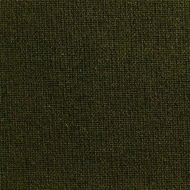 Canvas Extra R dunkeloliv