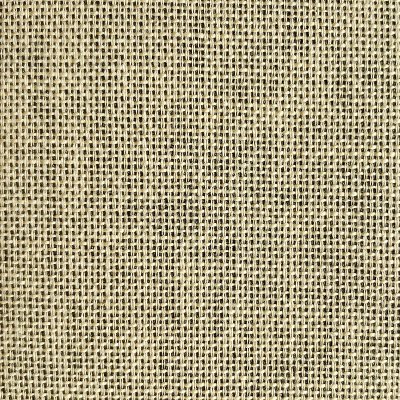 Lino 2870 oyster