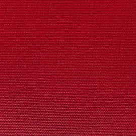 Canvas Extra R tomate