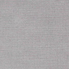 LEO's Papertex shell limestone
