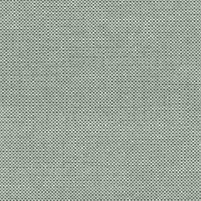 LEO's Papertex salbei