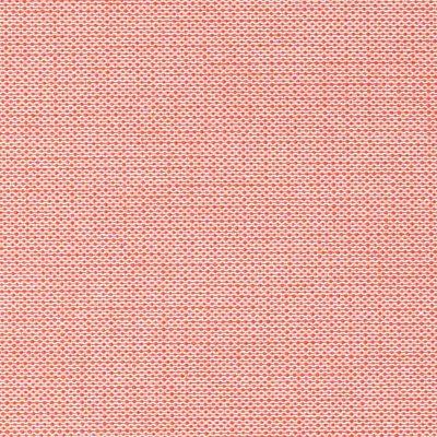 LEO's Papertex coral
