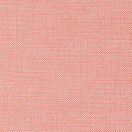 LEO's Papertex coral