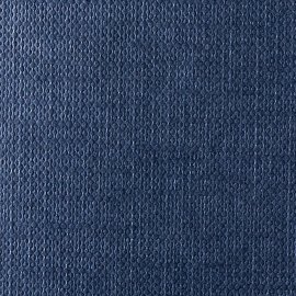 Classy Covers TT cobalt