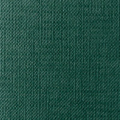 Classy Covers TT green