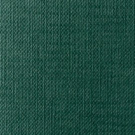 Classy Covers TT green