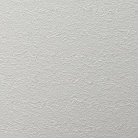 Tokyo white