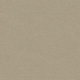 Ingres-Büttenpapier mausgrau