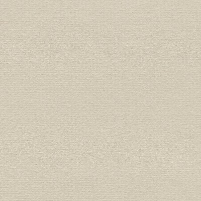 Ingres mould-made paper