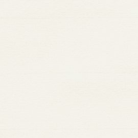 Ingres mould-made paper