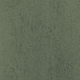 cover paper dark green