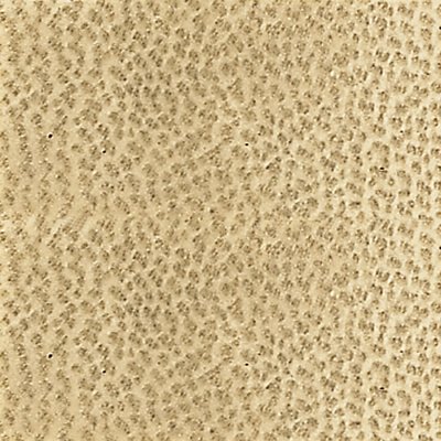 goat parchment natural color