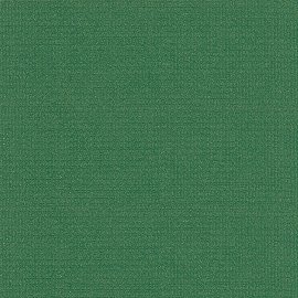 R 1950 grün Regutex,Textilband